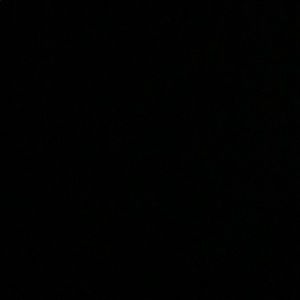 Meet your Posher, Wade